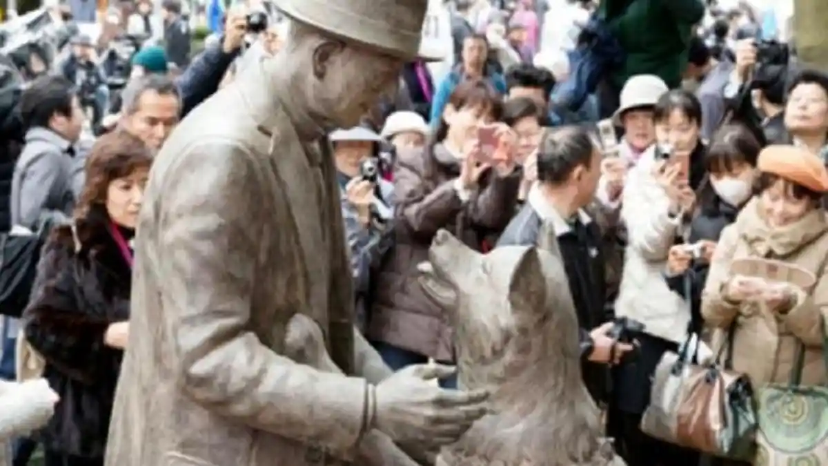 90 Tahun Menunggu, Akhirnya Hachiko Bertemu Kembali dengan Tuannya