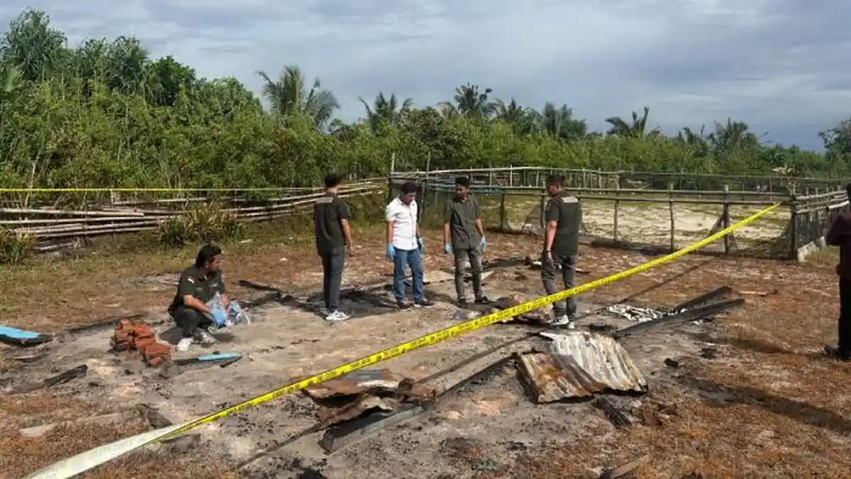 Polres Simeulue Selidiki Kebakaran Pondok Hatchery, Polisi Temukan ...