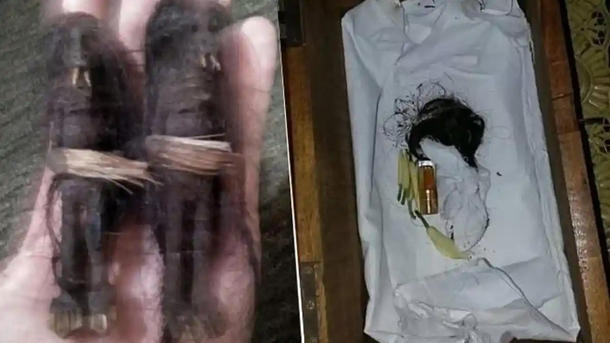 Fakta di Balik Jenglot, Makhluk 'Mistis' yang Muncul Secara Misterius di Indonesia Tahun 1997