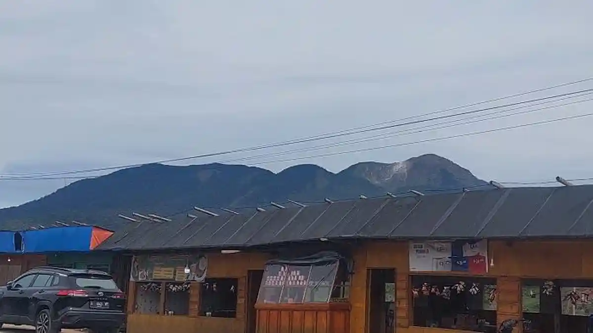 Mengenal Jalur Seroja Gunung Talang Sumbar, Rute yang Dipakai Khairul Sebelum Tersesat