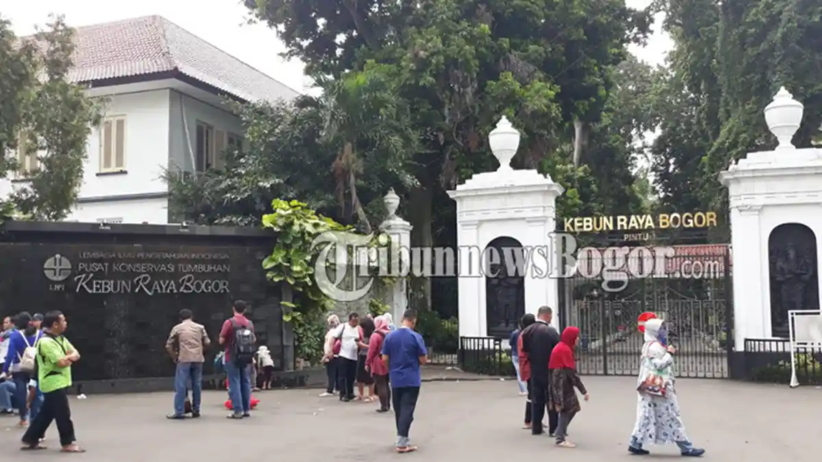 Libur Long Weekend, Wisatawan Asal China Ikut Menengok Kebun Raya Bogor
