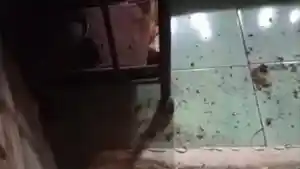 Tangkapan-layar-getaran-misterius-yang-mengguncang-warga-Cirebon.jpg