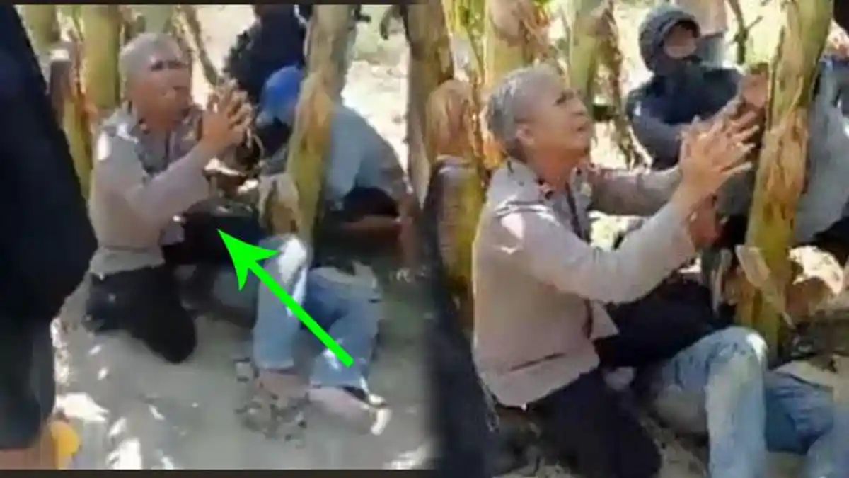 Viral Video Kapolsek Bersimpuh Minta Ampun Lindungi Pria Terkapar dari Massa, Nyaris Ditebas Parang