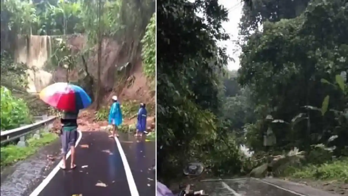 Hujan Deras Sejak Semalam, Longsor dan Pohon Tumbang di Dua Jalan Berbeda di Payangan Gianyar