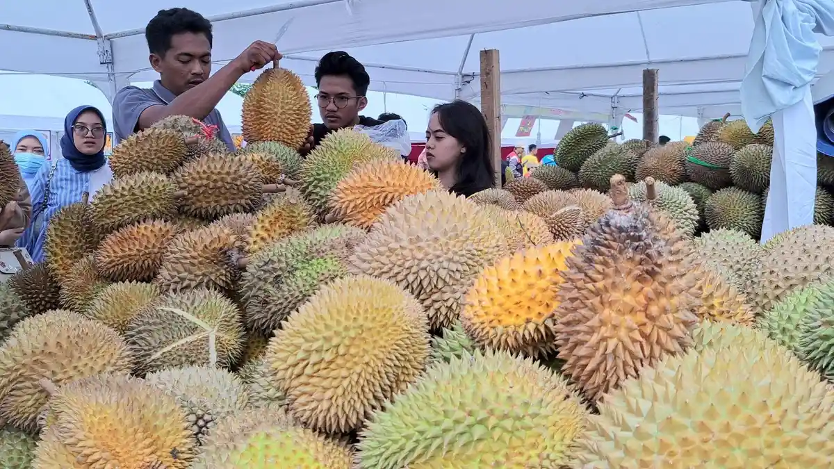 Festival dan Bazar Durian Menara Teratai Purwokerto Banyumas: Ini Harga dan Macamnya