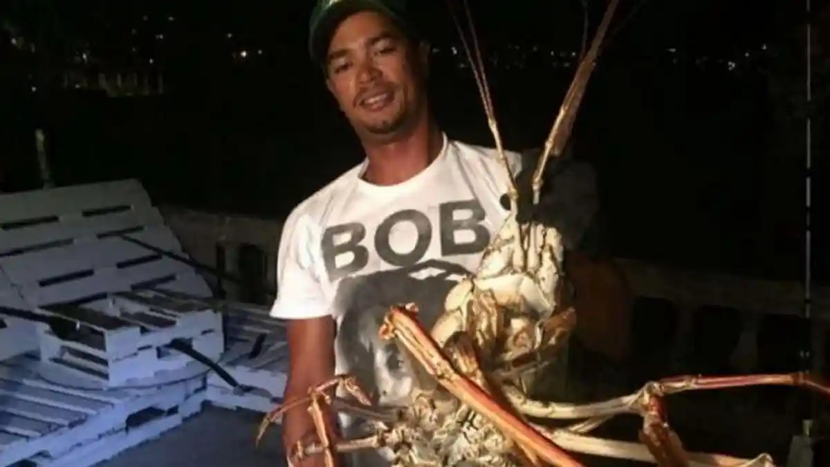 Wow! Lihat Ukuran Lobster Raksasa yang Ditemukan di Perairan Bermuda Ini