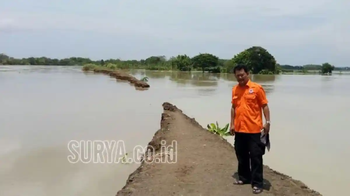 Sawah 42 Ha Tergenang Banjir tapi Petani Tak Merugi, Ini Penyebabnya