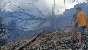 kebakaran-hutan-di-polman-akibat-wrga-membakar-sembarangan.jpg