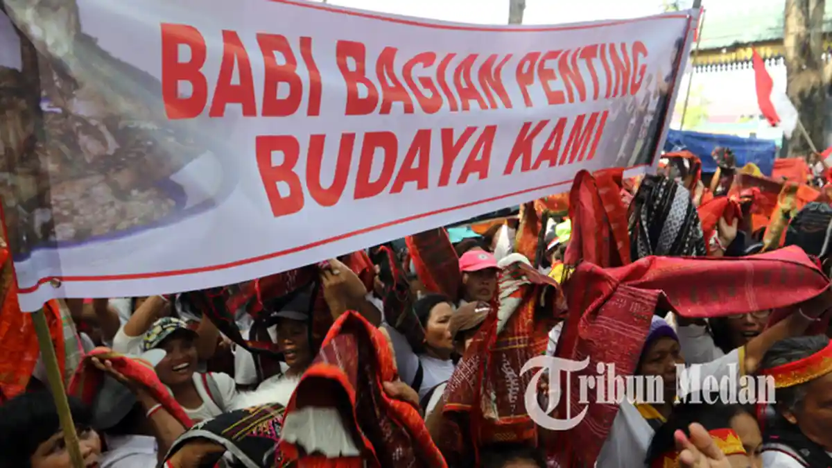 Anggota DPRD Sumut Viktor Silaen Pastikan Babi Tidak Dimusnahkan