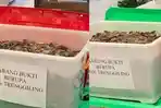 Warga-Bulak-Rukem-Dapat-Rp-84-M-dari-Perdagangkan-Sisik-Trenggiling-Tampung-140-Kg-di-Rumahnya.jpg