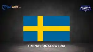 Bendera-Swedia.jpg