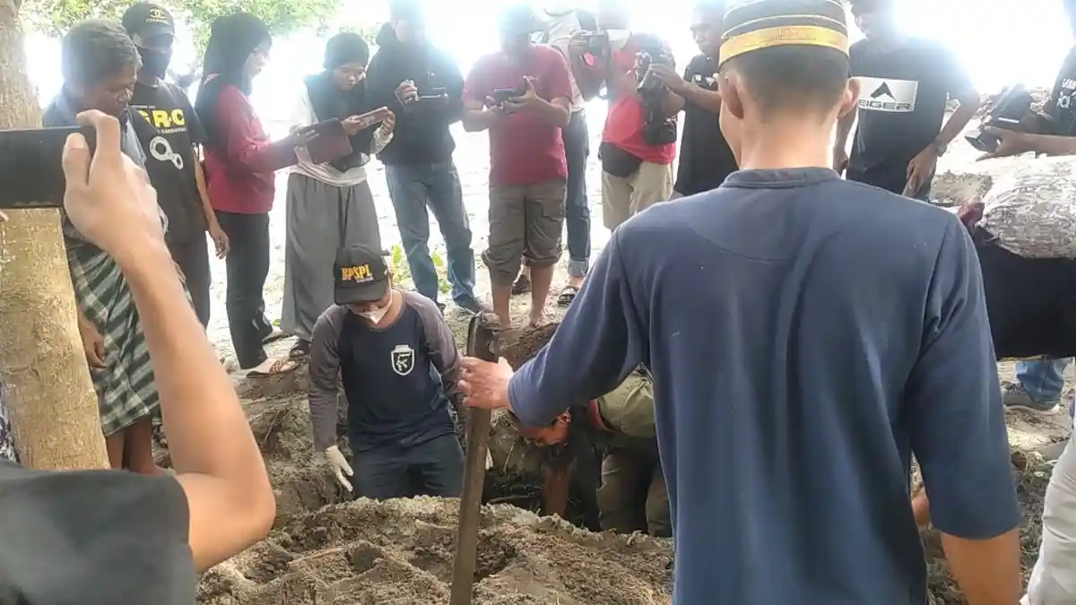 Sempat Dirawat, Bayi Dugong Terdampar di Pesisir Pantai Balanipa Polman Mati