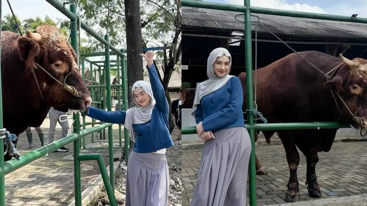 Wujud Sapi Kurban Pilihan Ria Ricis Jadi Sorotan, Kolom Komentar Ibu ...