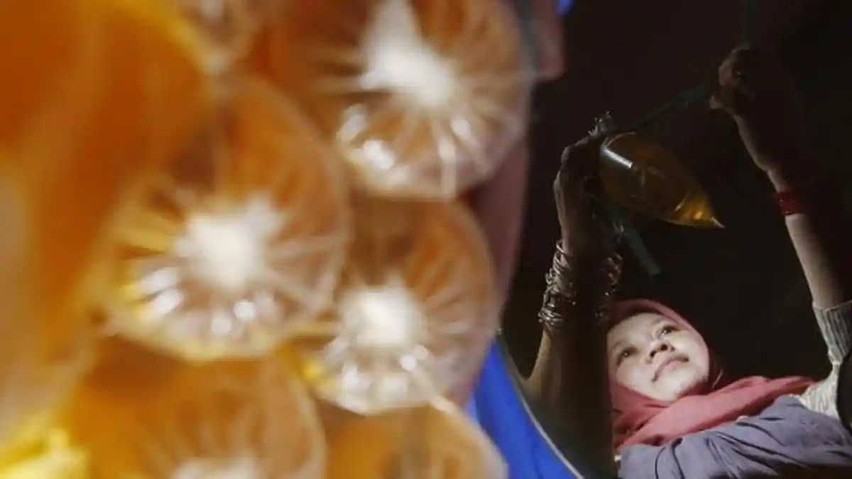 Harga Minyak Goreng Tanjung Pinang Masih Tinggi Saja, Pedagang Kurangi Stok Jual