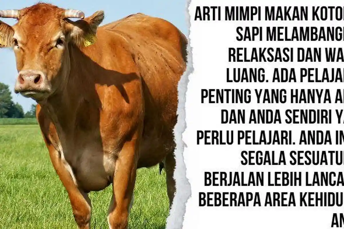 Jangan Jijik! Arti Mimpi Makan Kotoran Sapi Ternyata Simbol Relaksasi ...