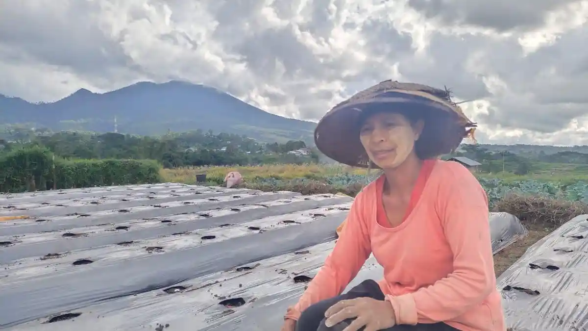 Petani Hortikultura di Manggarai Minta Perhatian dari Pemerintah Akses Modal dan Bantuan Bibit