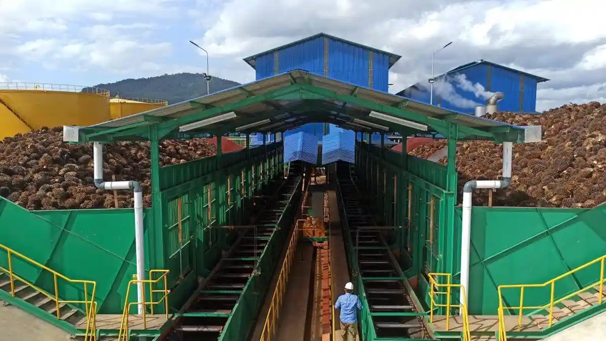Perusahaan Sawit REA Kaltim Plantations Buka Lowongan Kerja di Kukar, Lulusan SMK Bisa Mendaftar