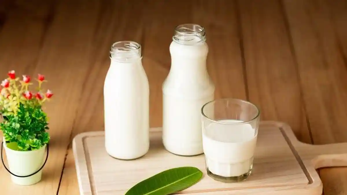 Manfaat Minum Susu, Bisa Bantu Memberikan Rasa Kenyang Lebih Lama saat Berpuasa
