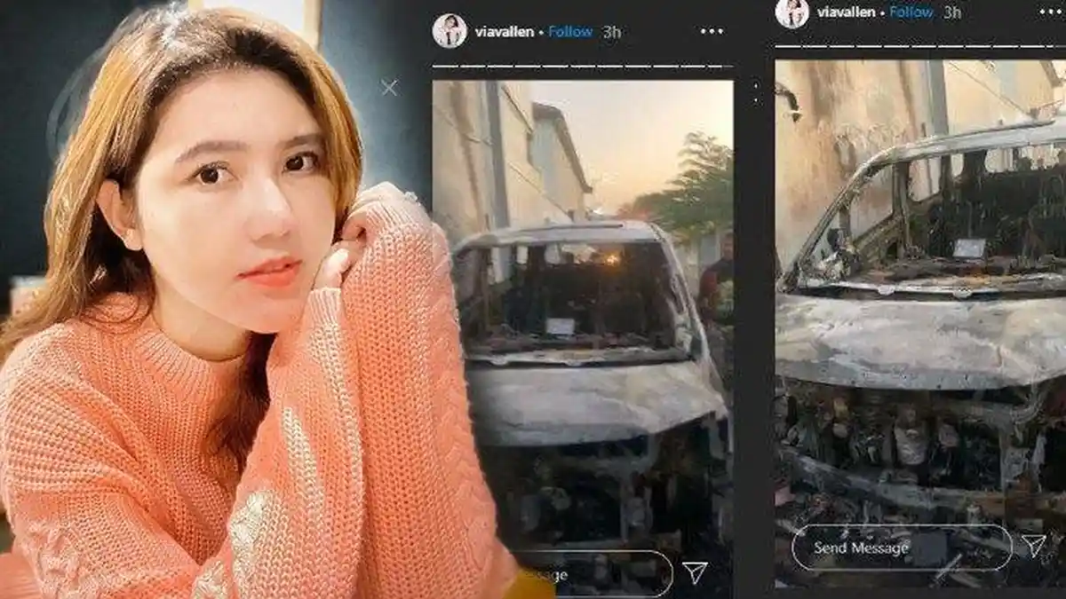 MOBILNYA Dibakar Oknum, Rumah Nyaris Dilalap Api, Via Vallen Teriak Mikir Piaraan 'Tolong Kucingku!'