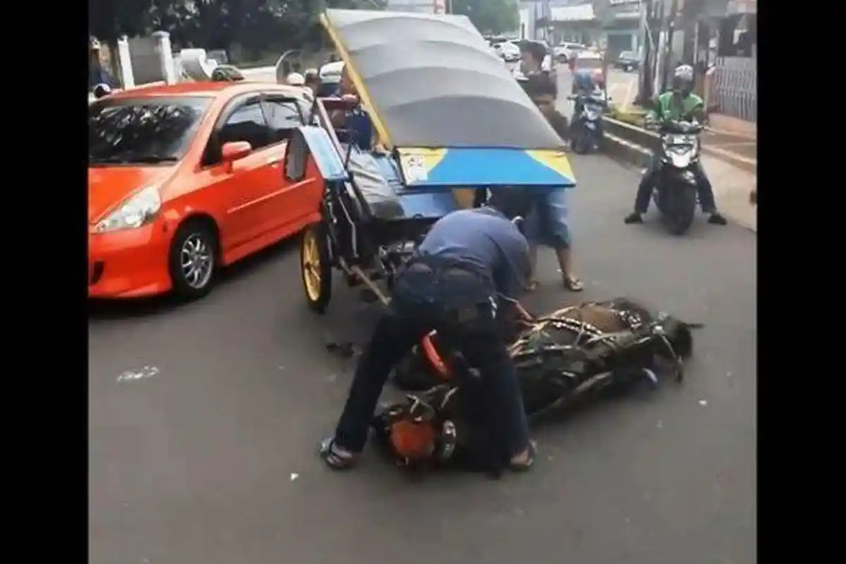 Viral Kuda Delman Terkapar Kelelahan, Kuda Dicambuk dan Dipaksa Berdiri