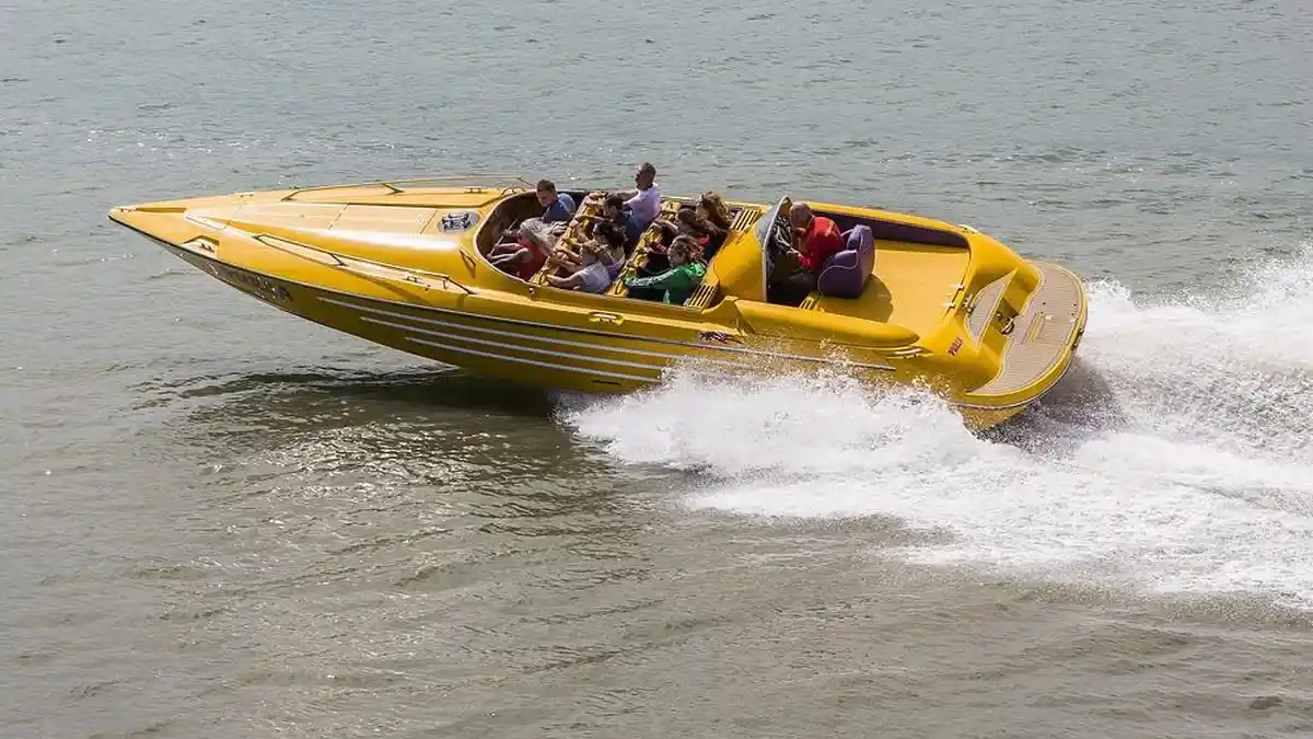 Niat Nonton Lumba-lumba di Laut, Wanita Ini Malah Terlempar dari Speedboat