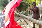 Laris Manis Penjual Bambu Panjat Pinang di Bandung