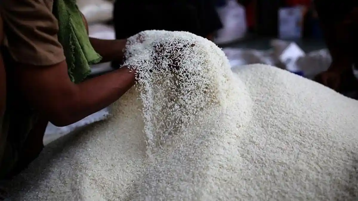 3 Produsen dan 5 Merek Beras Premium Oplosan yang Diungkap Bareskrim, Ada Sania hingga Anak Kembar