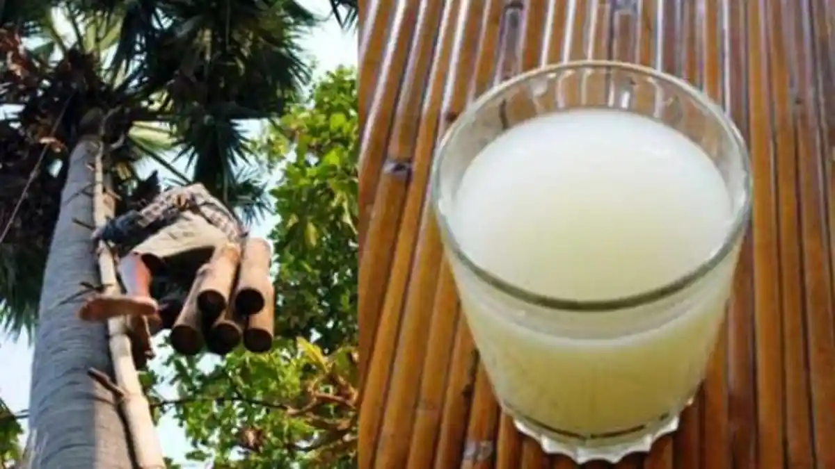Sudah Dilegalkan oleh Pemda, Ini Ternyata Perbedaan Tuak, Arak hingga Brem Bali