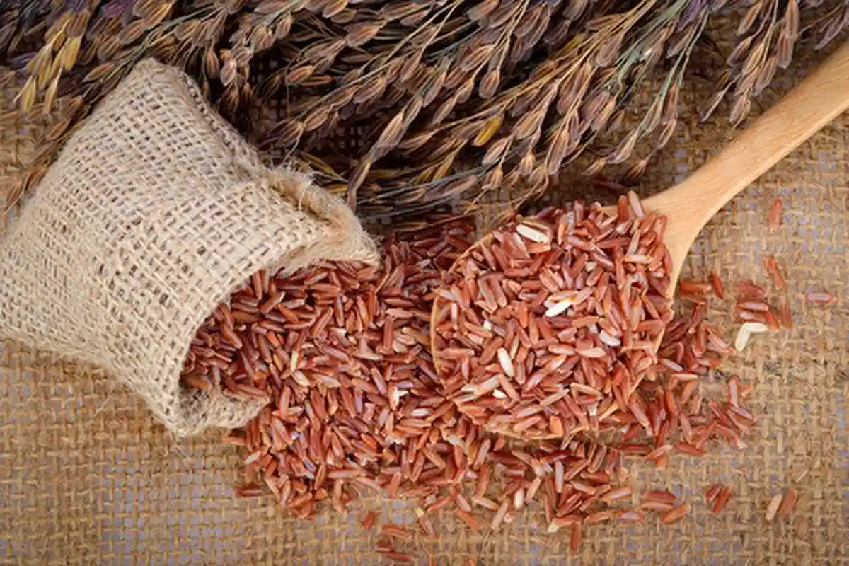 7 Manfaat Beras Merah untuk Menu Diet Sehat, Ketahui Cara Memasaknya Agar Lebih Enak dan Pulen