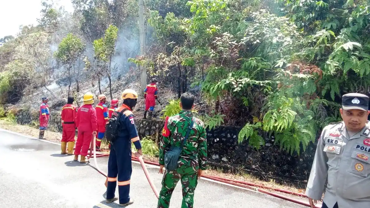 Kebakaran Lahan di Lingga Makin Parah, Api Bakar Satu Hektare Lahan Perkebunan di Singkep Pesisir