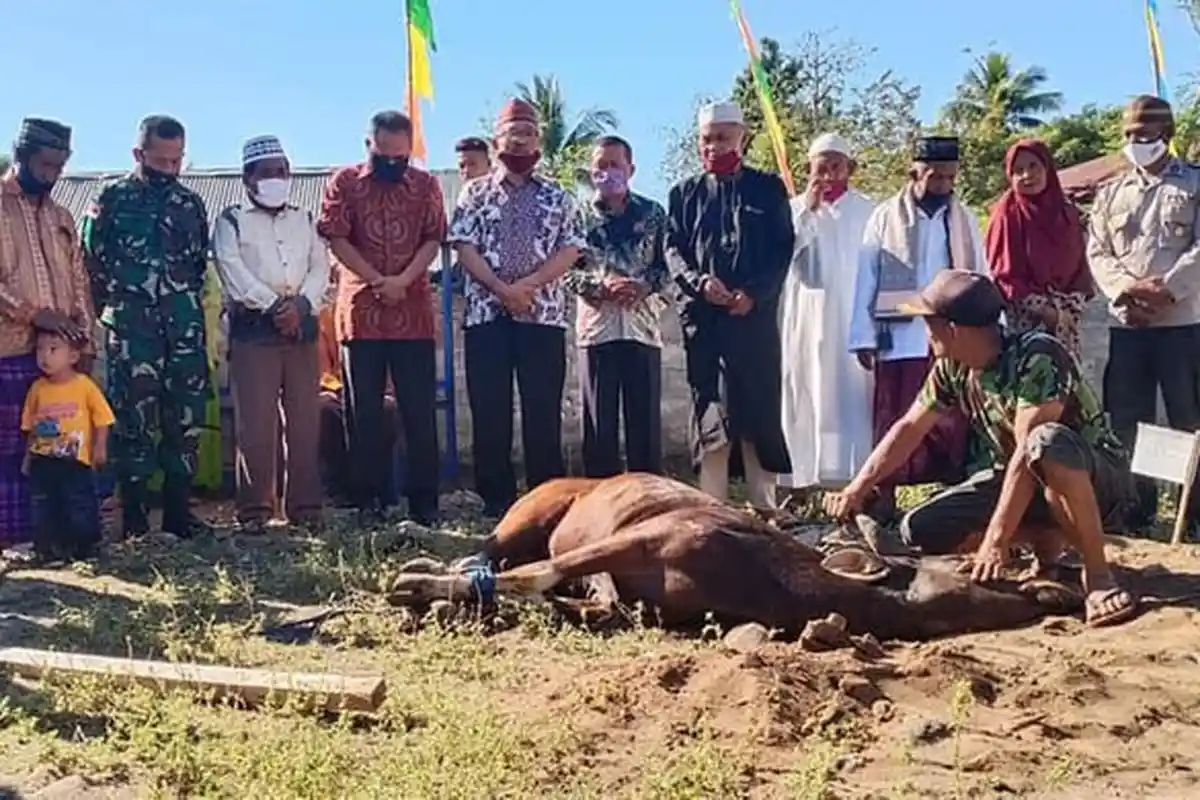Bacaan Niat, Doa dan Syarat untuk Sahibul Qurban Sebelum Sembelih Hewan di Idul Adha 1442 H