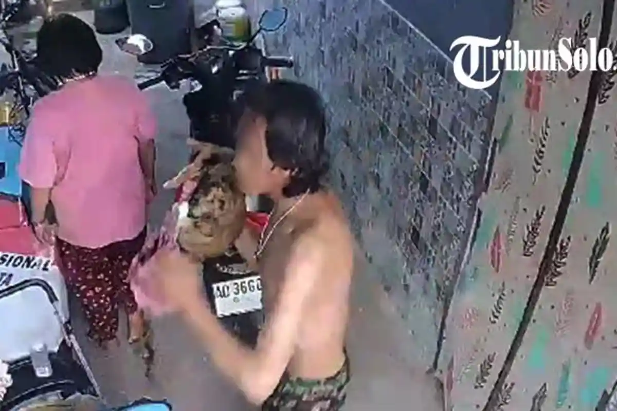 Diduga Emosi Dengar Orang Tua Cekcok, Pemuda di Solo Banting Kucing Hingga Luka Parah, Aksinya Viral