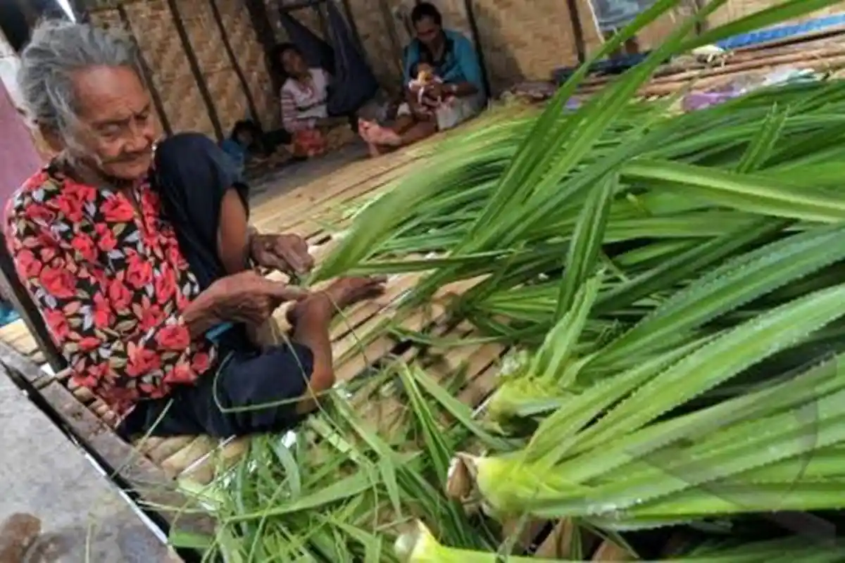 Mengintip Warga Pesahangan Cilacap Bikin Tikar Daun Pandan, Berburu Bahan Baku Sampai Cianjur