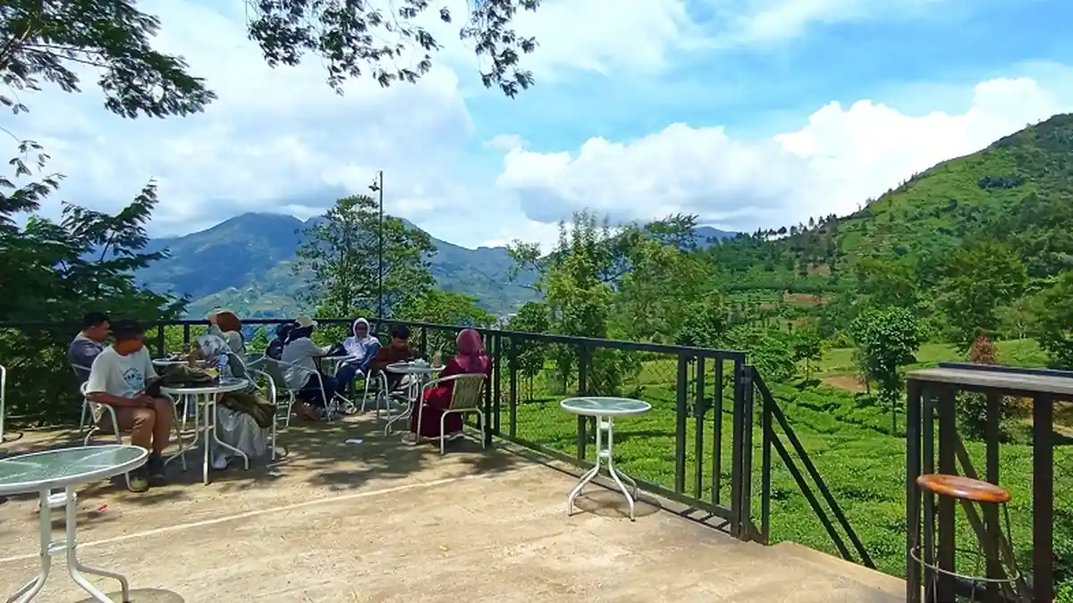 Asyiknya Nikmati Tea Blend di Tengah Hamparan Kebun Teh Wonosobo, Khas Teh Hijau Tambi