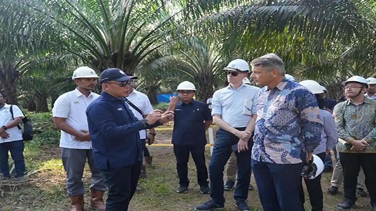 Dubes Uni Eropa Apresiasi PTPN IV PalmCo dengan Tiga Pilar Utama Industri Sawit Berkelanjutan