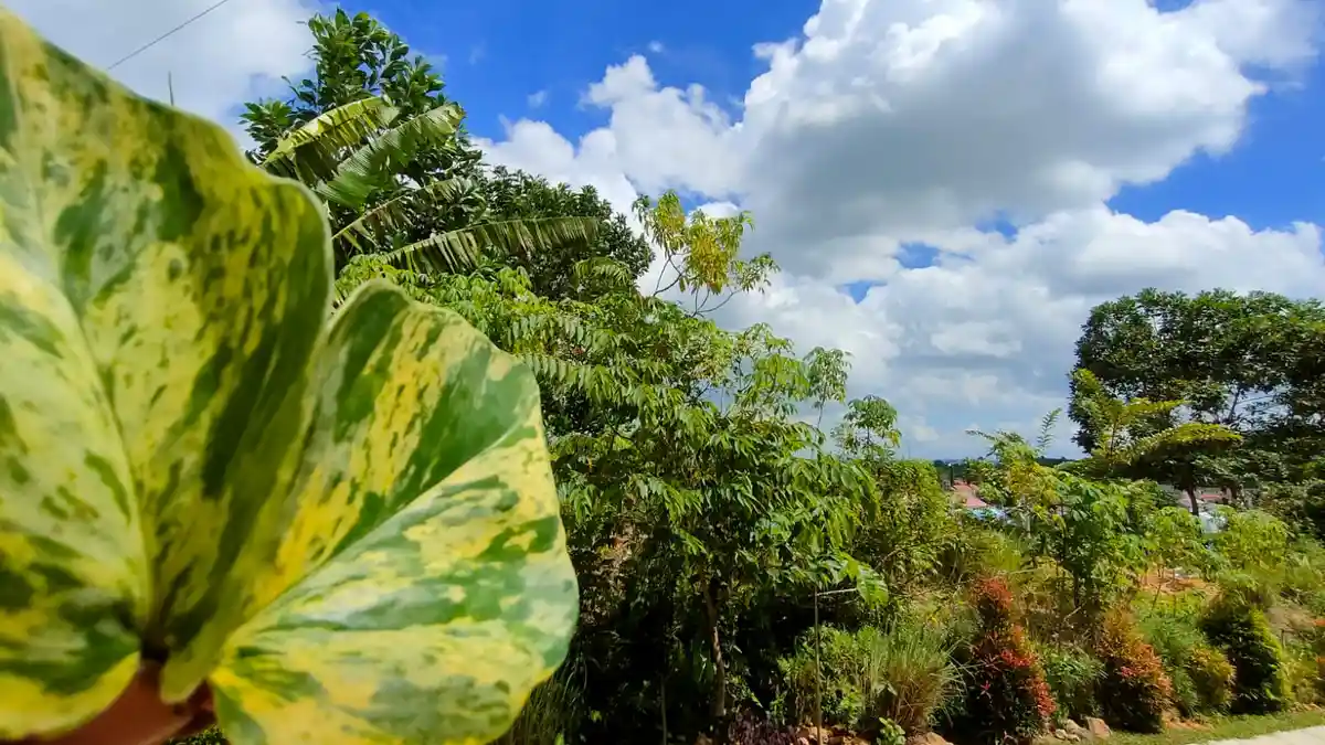 Prakiraan Cuaca Kalimantan Timur Minggu 3 Juli 2022, Balikpapan Bontang Hujan, Samarinda Berawan