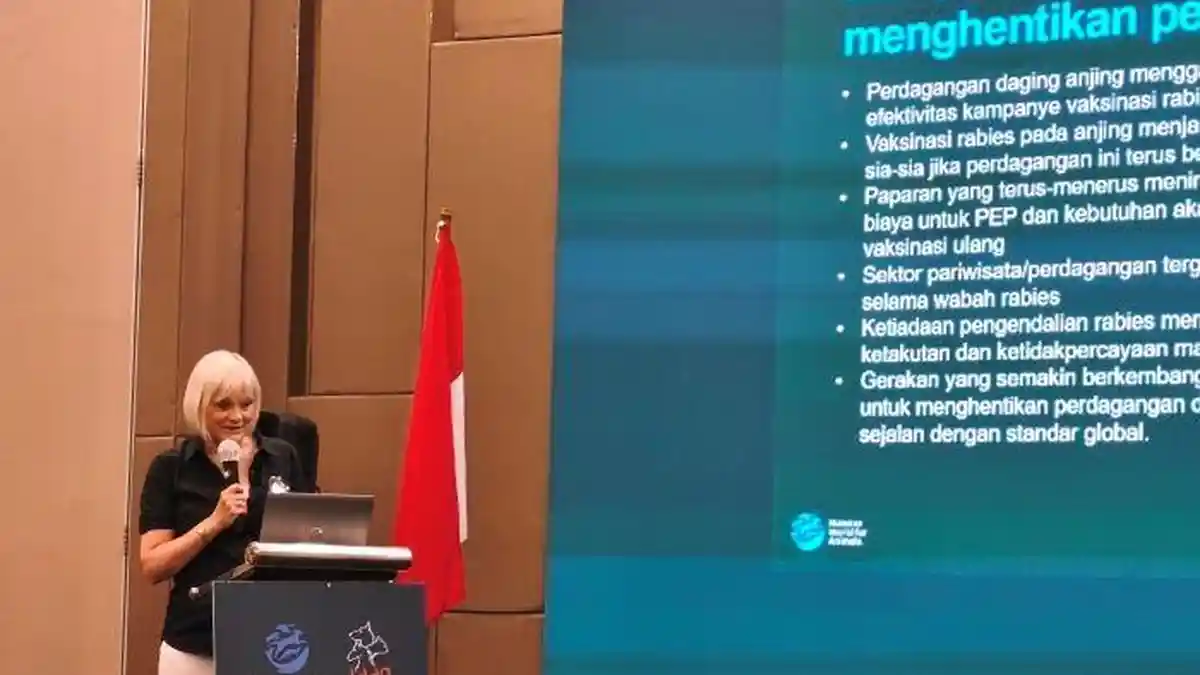 Akhiri Perdagangan Daging Anjing Jadi Kunci Penting Memutus Penyebaran Rabies di Indonesia