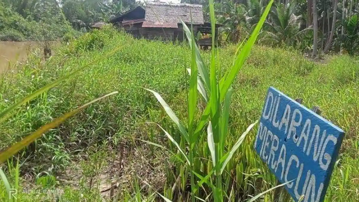 Warga Parit 8 Tanjabtim Pasang Peringatan Larangan Meracun di Anak Sungai