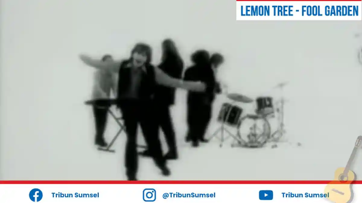 Lirik Lagu dan Terjemahan Lemon Tree Fool's Garden, Viral di Tik Tok, I Wonder How I Wonder Why