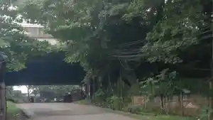 Terowongan-Tol-Tapos.jpg