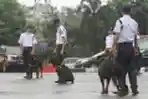 HUT Ke-33 Satuan Pengamanan (Satpam)