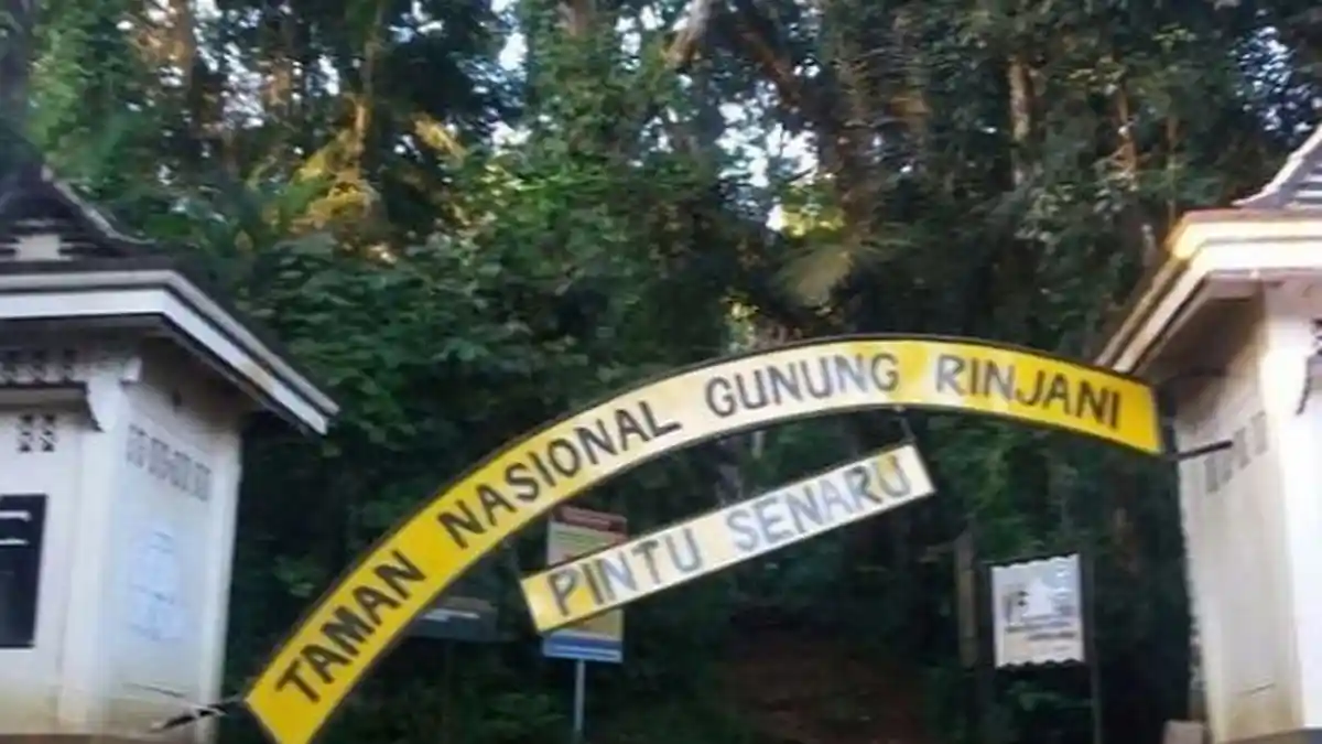 Akibat Gempa, Terjadi Longsor di Gunung Rinjani, Para Pendaki Diimbau Jangan Bergerak