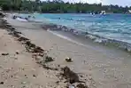 wisata-Pantai-Pasir-Putih-Kabupaten-Manokwari.jpg