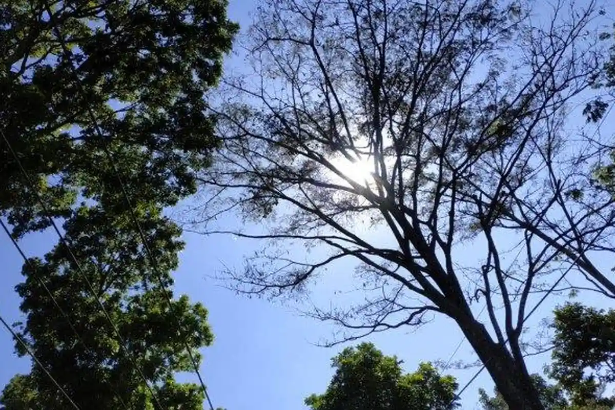 Info BMKG Prakiraan Cuaca Ternate Hari Ini Rabu, 10 Agustus 2022: Cerah Berawan di Pagi Hari