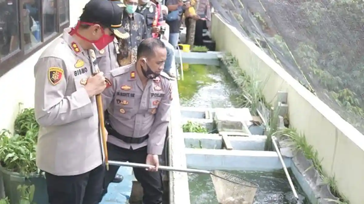 Polres Majalengka Kembangkan Program Budi Daya Ikan Lele Antisipasi Kelangkaan Pangan