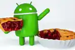 google-pie_20180807_123243.jpg