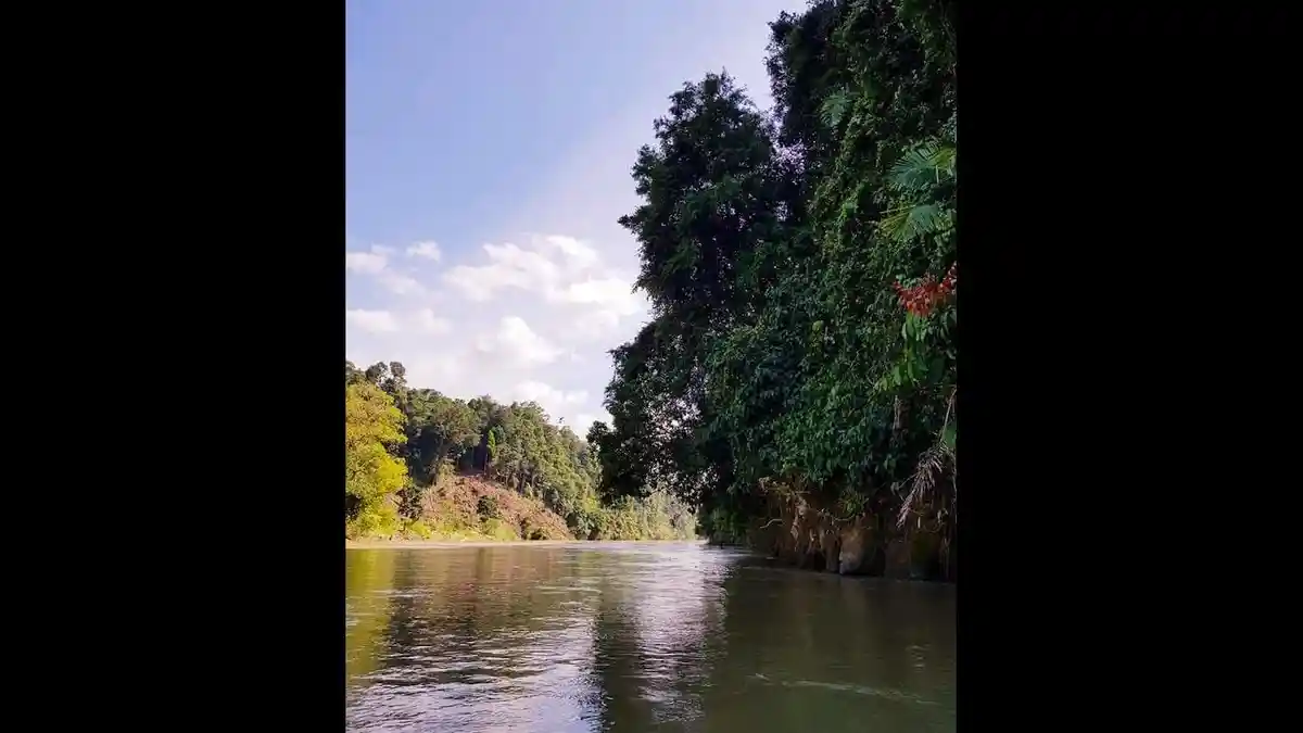 Wisata Aceh Tenggara Ketambe, Warisan Paru-paru Dunia