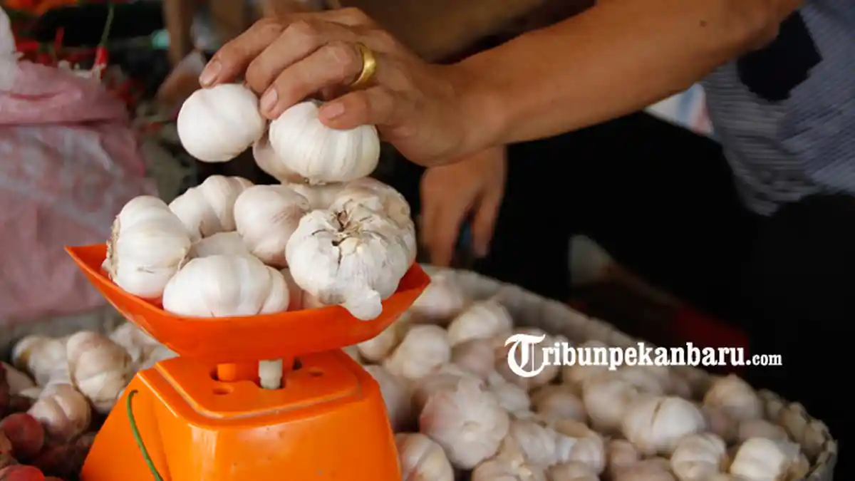 Harga Bawang Putih, Daging Sapi dan Ayam Ras Masih Tinggi di Pekanbaru Jelang Idul Adha 1444 H