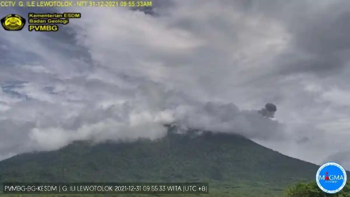 UPDATE Gunung Api Indonesia Berstatus Level 3 Siaga: Gunung Ili Lewotolok Alami 4 kali Gempa Erupsi