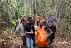 4 Berita Populer Jambi, Mbah Jono Terkubur di Rawa s/d Anak Tega Tikam Bapak